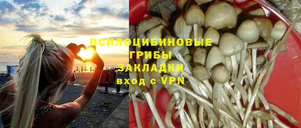 mdpv Ладушкин
