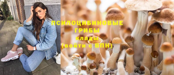 мескалин Лихославль